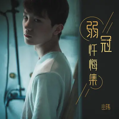 迷情记封面