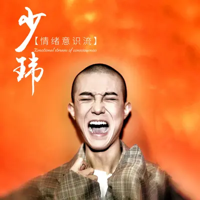 诗意人间少年梦封面
