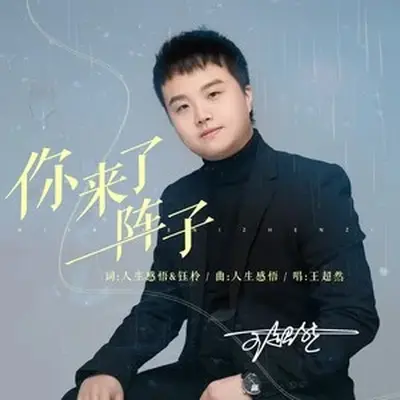 你来了一阵子（伴奏）封面