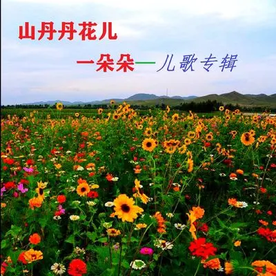 石头剪刀布封面
