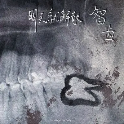 智齿封面