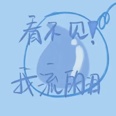看不见我流的泪封面