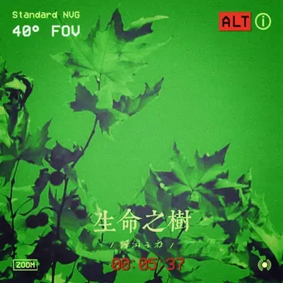 回到你身边封面