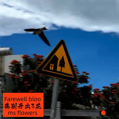 离别开出花 (弹唱版)封面