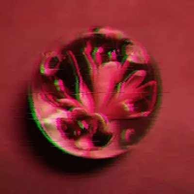 我心里面封面