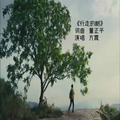 行走的树封面