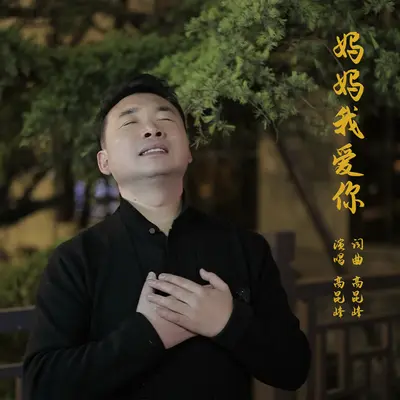 妈妈我爱你 - 高昆峰（伴奏）封面