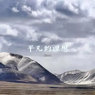 平凡的理想（伴奏）封面