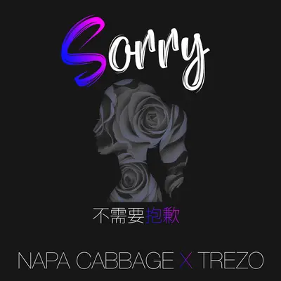 不需要抱歉 (Sorry)封面