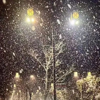 雪落下那一刻封面