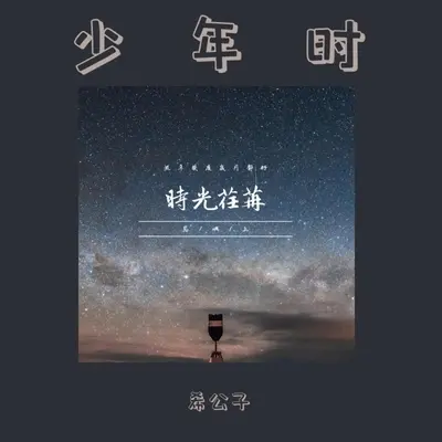 少年时封面