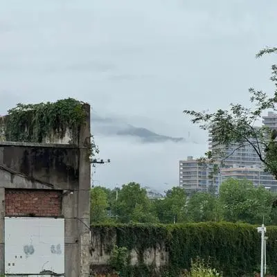 即刻起航封面