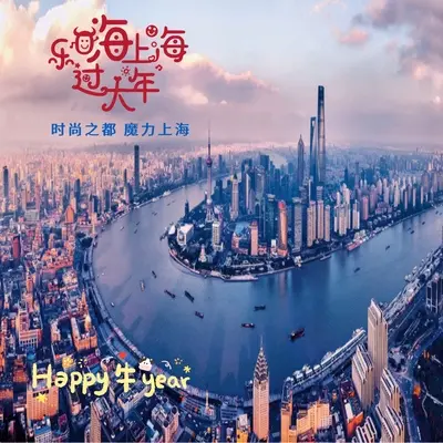 乐嗨上海过大年（卡拉OK版）封面