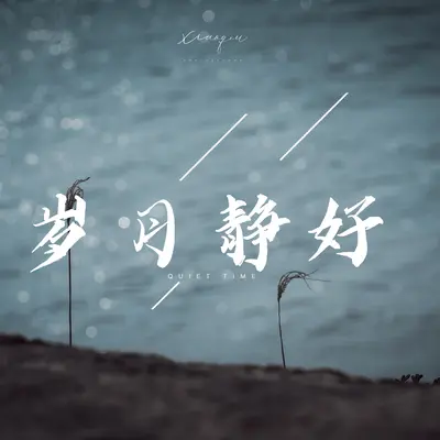 岁月静好封面