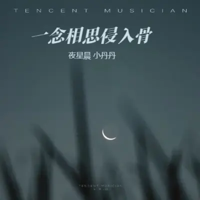一念相思侵入骨（合唱版） - 夜星晨 / 小丹丹封面