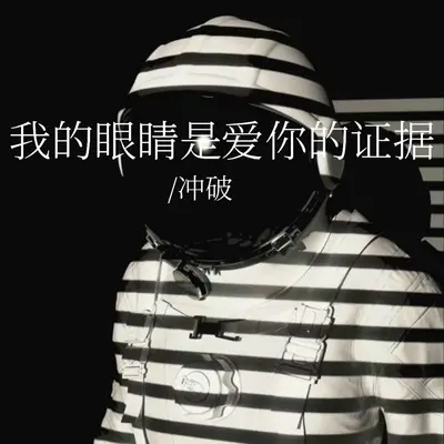 我的眼睛是爱你的证据封面