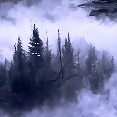Foggy Woods(Dance At The Party Version)封面