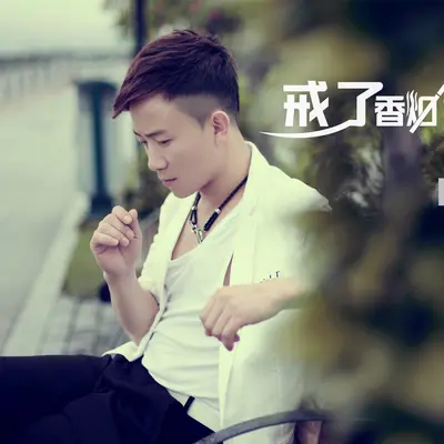 戒了香烟戒不掉你封面
