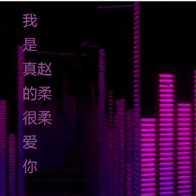 我是真的很爱你封面