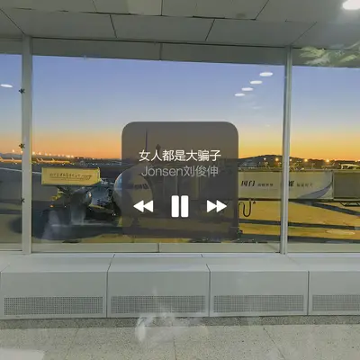女人都是大骗子封面
