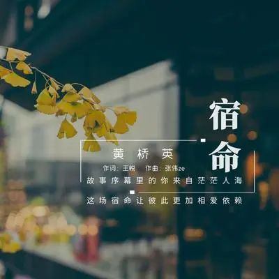 宿命封面