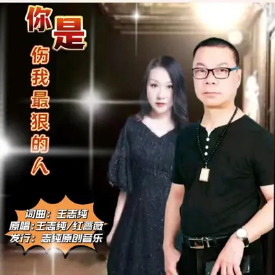 你是伤我最狠的人(伴奏)封面
