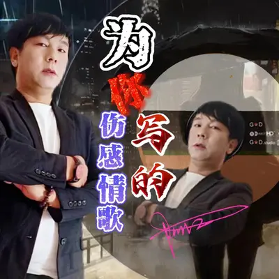 为你写的伤感情歌封面