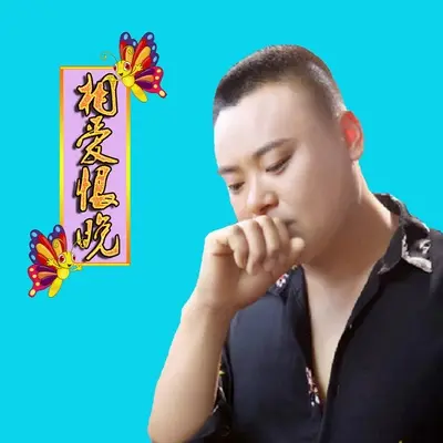 相爱恨晚封面