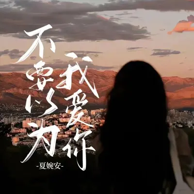 不要以为我爱你 - 夏婉安封面