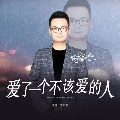 爱了一个不该爱的人封面