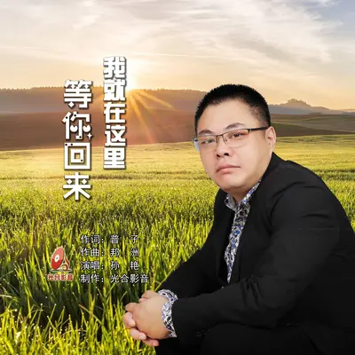 我就在这里等你回来封面