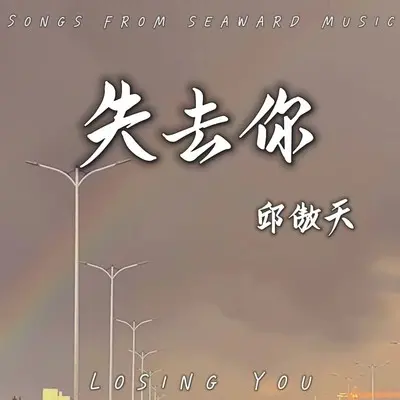 失去你封面
