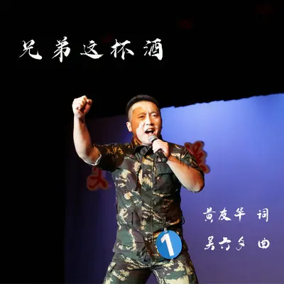 兄弟这杯酒（伴奏）封面