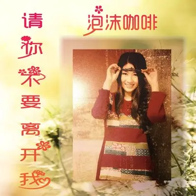 请你不要离开我（伴奏）封面