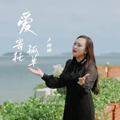 爱寄托孤单（伴奏）封面