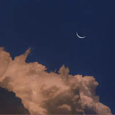 穿越星河奔向你封面