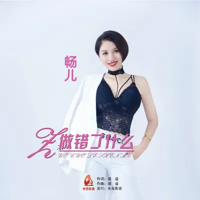做错了什么封面