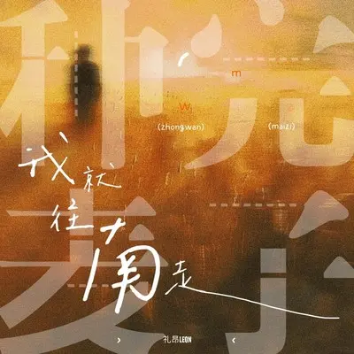 种完麦子我就往南走 (青春版)封面