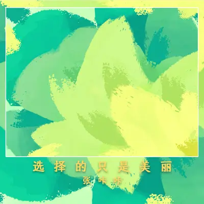 选择的只是美丽(伴奏版)封面