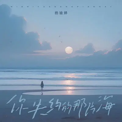 你失约的那片海封面