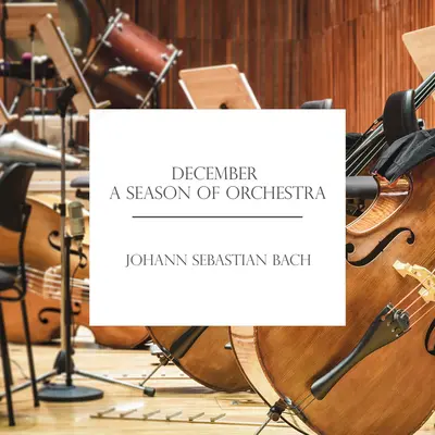 J.S. Bach: 協奏曲ハ短調 BWV 1060R（マンドリン、リコーダー、弦楽合奏、通奏低音のための編曲版）: 第3楽章: Allegro+J.S. Bach: キョウソウキョクハタンチョウ: ダイサンガクショウアレグロ+J.S. Bach: Concerto in C Minor, BWV 1060R (Adapt. for Mandolin, Recorder, Strings and Continuo): III. Allegro封面