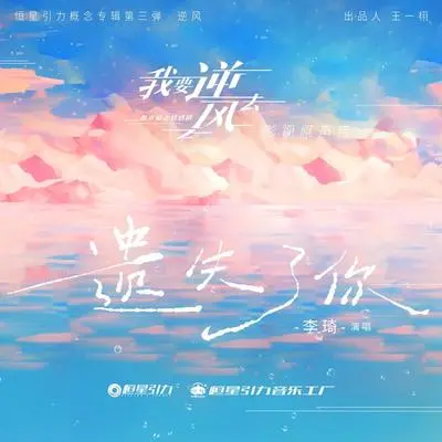 遗失了你（伴奏） - 李琦封面