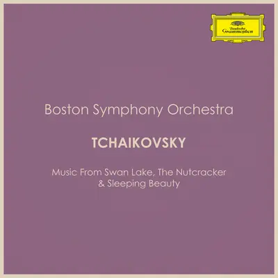 Tchaikovsky: バレエ《くるみ割り人形》 作品71: 第12曲 A)チョコレート（スペインの踊り）+Tchaikovsky: クルミワリニンギョウ: チョコレート+Tchaikovsky: The Nutcracker, Op. 71, TH.14 / Act 2: No. 12a Character Dances: Chocolate (Spanish Dance)封面