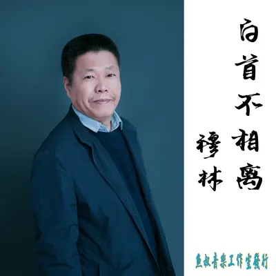 白首不相离封面