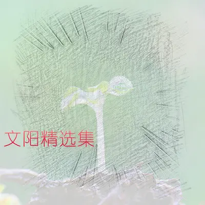没有了你的世界 - 文阳封面