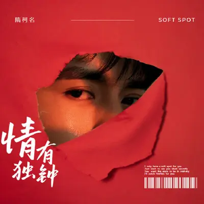 情有独钟封面