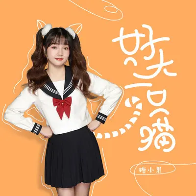 好大一只猫封面