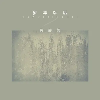 多年以后 (DJHouse版)封面