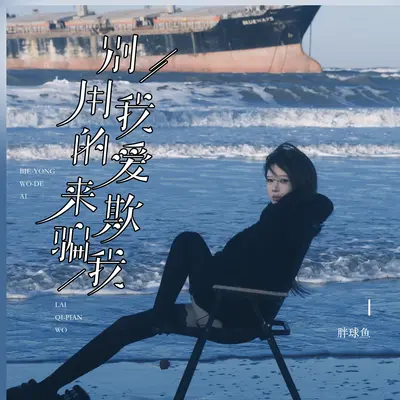 别用我的爱来欺骗我 (女版)封面