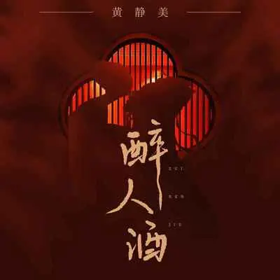 醉人酒（DJ刘超版）封面